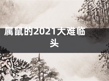 属鼠的2021大难临头