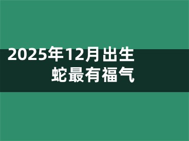 2025年12月出生蛇最有福气