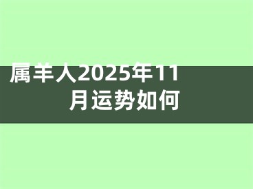 属羊人2025年11月运势如何