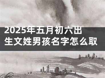 2025年五月初六出生文姓男孩名字怎么取