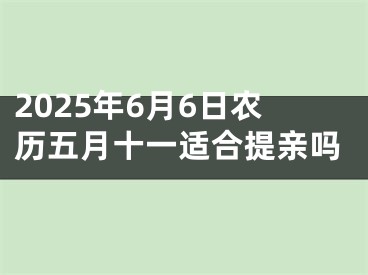2025年6月6日农历五月十一适合提亲吗