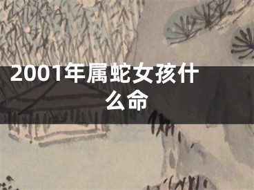 2001年属蛇女孩什么命