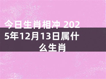 今日生肖相冲 2025年12月13日属什么生肖