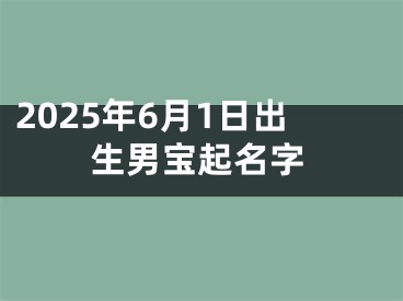 2025年6月1日出生男宝起名字