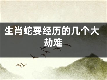 生肖蛇要经历的几个大劫难