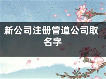 新公司注册管道公司取名字