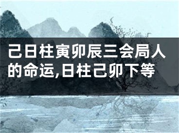 己日柱寅卯辰三会局人的命运,日柱己卯下等