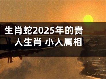 生肖蛇2025年的贵人生肖 小人属相