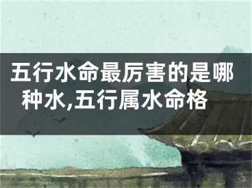 五行水命最厉害的是哪种水,五行属水命格