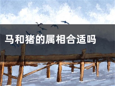 马和猪的属相合适吗 