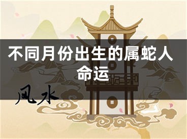 不同月份出生的属蛇人命运