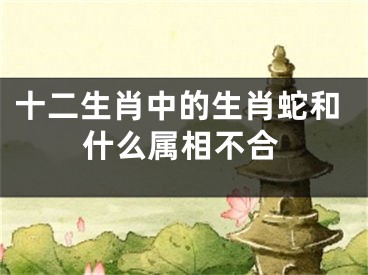 十二生肖中的生肖蛇和什么属相不合