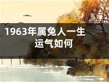 1963年属兔人一生运气如何