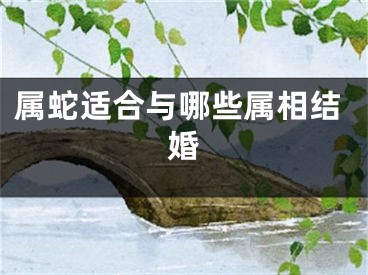 属蛇适合与哪些属相结婚