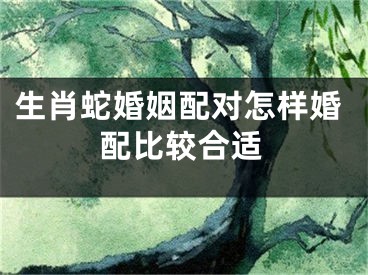 生肖蛇婚姻配对怎样婚配比较合适