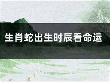 生肖蛇出生时辰看命运