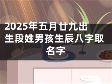 2025年五月廿九出生段姓男孩生辰八字取名字