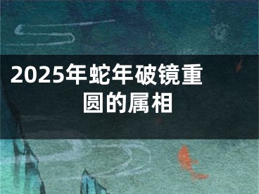 2025年蛇年破镜重圆的属相