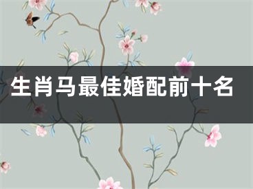 生肖马最佳婚配前十名