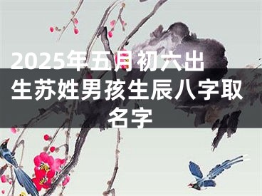 2025年五月初六出生苏姓男孩生辰八字取名字