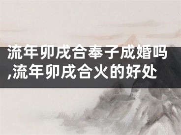 流年卯戌合奉子成婚吗,流年卯戌合火的好处