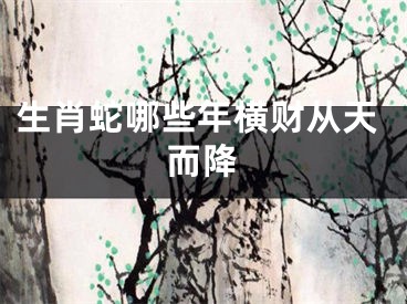 生肖蛇哪些年横财从天而降