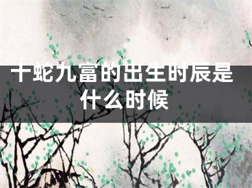 十蛇九富的出生时辰是什么时候