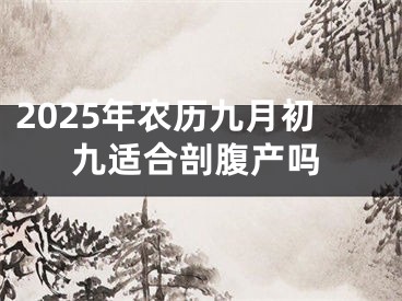 2025年农历九月初九适合剖腹产吗