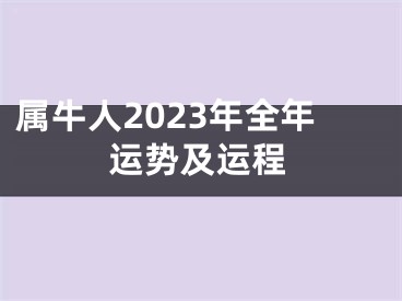 属牛人2023年全年运势及运程