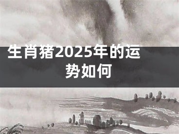 生肖猪2025年的运势如何