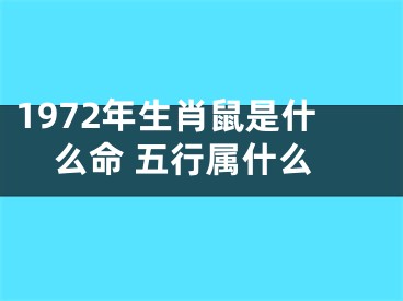 1972年生肖鼠是什么命 五行属什么