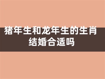 猪年生和龙年生的生肖结婚合适吗