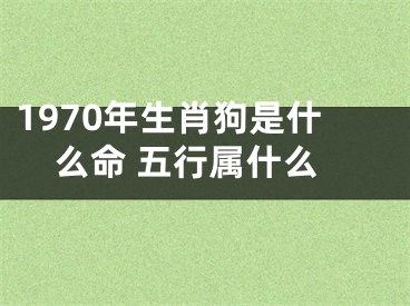 1970年生肖狗是什么命 五行属什么
