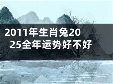 2011年生肖兔2025全年运势好不好