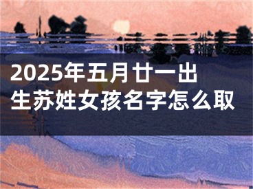 2025年五月廿一出生苏姓女孩名字怎么取