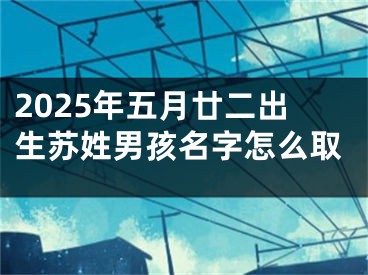 2025年五月廿二出生苏姓男孩名字怎么取