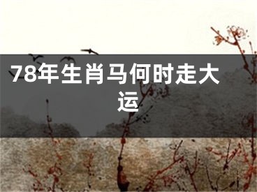 78年生肖马何时走大运