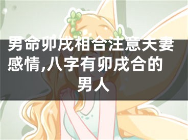男命卯戌相合注意夫妻感情,八字有卯戌合的男人