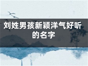 刘姓男孩新颖洋气好听的名字