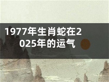 1977年生肖蛇在2025年的运气