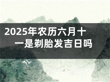 2025年农历六月十一是剃胎发吉日吗