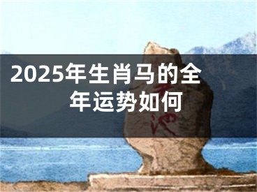 2025年生肖马的全年运势如何