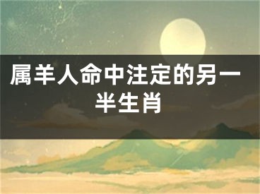 属羊人命中注定的另一半生肖