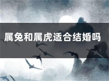 属兔和属虎适合结婚吗