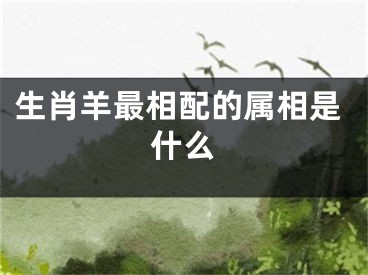 生肖羊最相配的属相是什么
