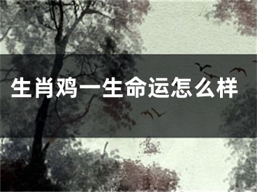 生肖鸡一生命运怎么样