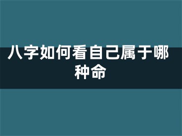 八字如何看自己属于哪种命