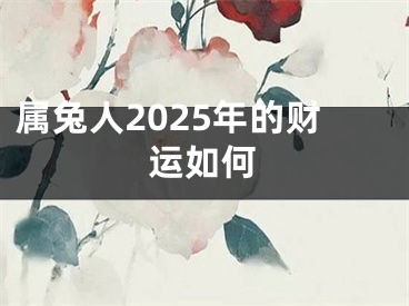 属兔人2025年的财运如何