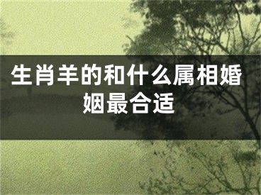 生肖羊的和什么属相婚姻最合适