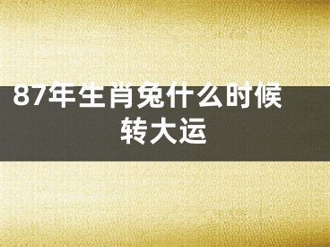 87年生肖兔什么时候转大运